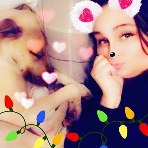 Meet your Posher, Markmel